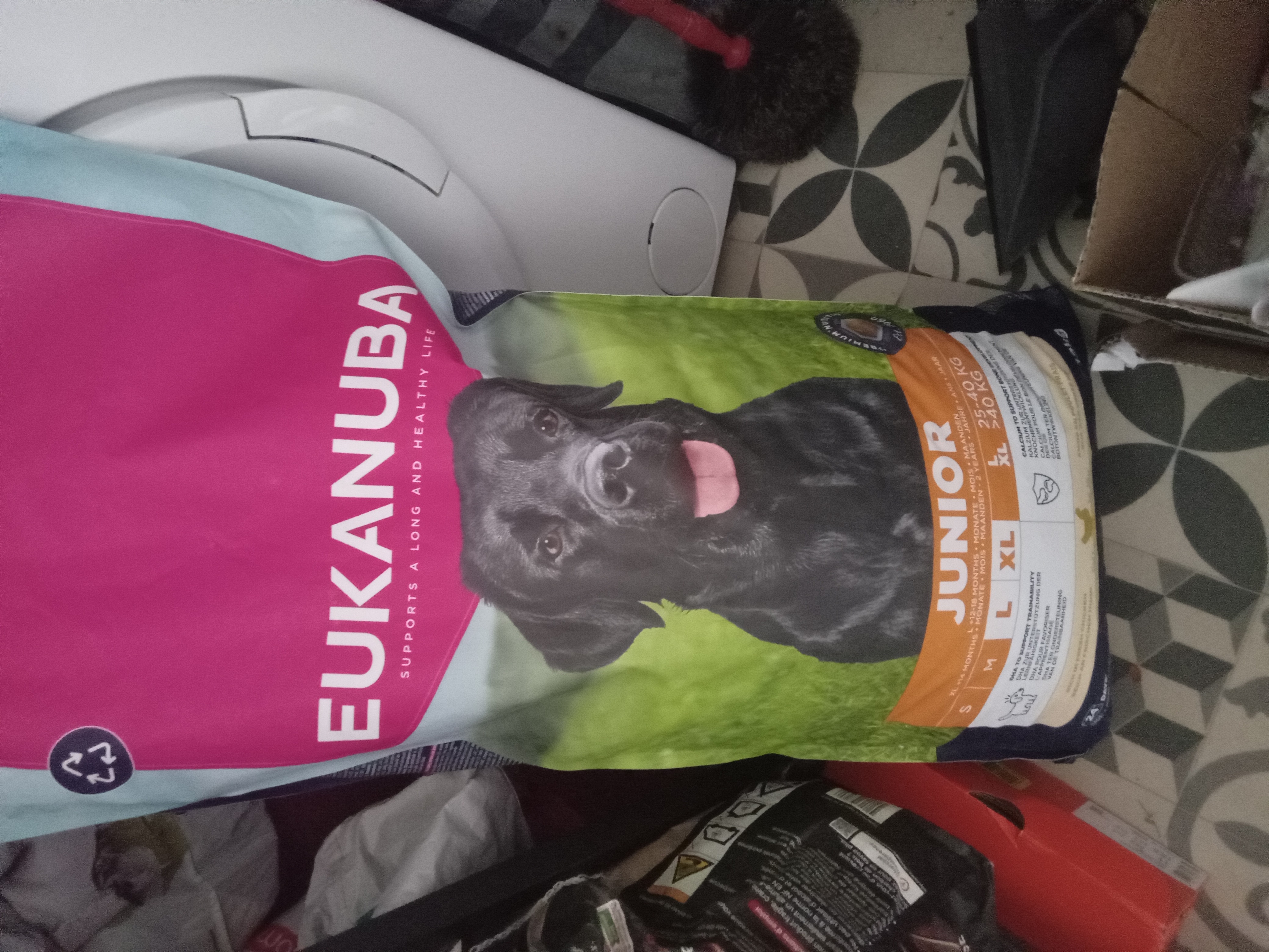Donne croquettes Eukanuba Junior xl