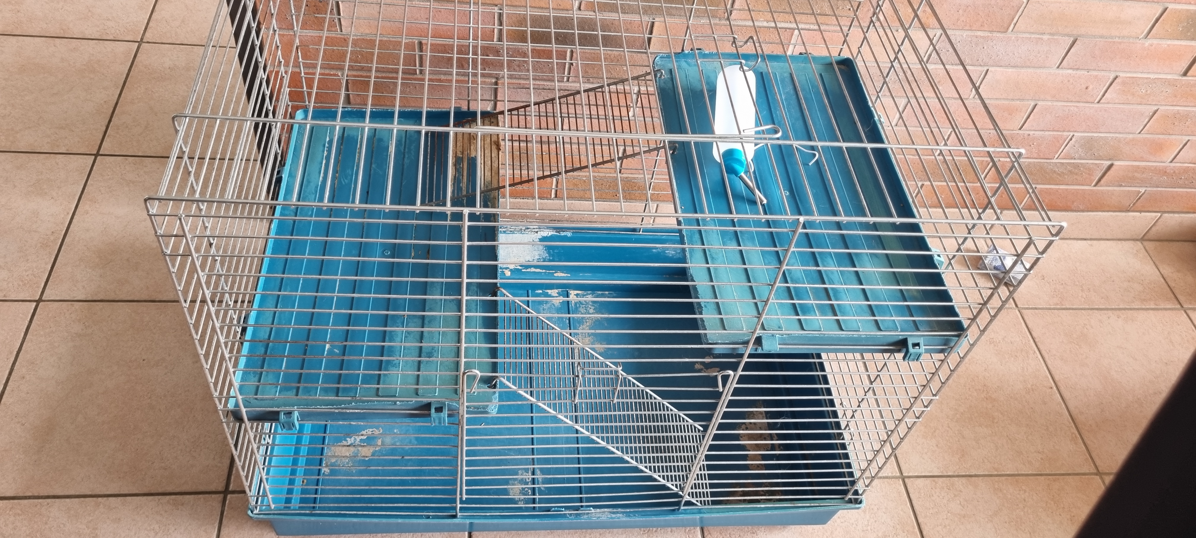 Cage rongeur