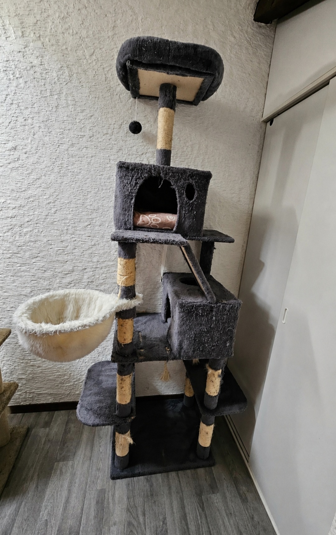 Arbre à chat