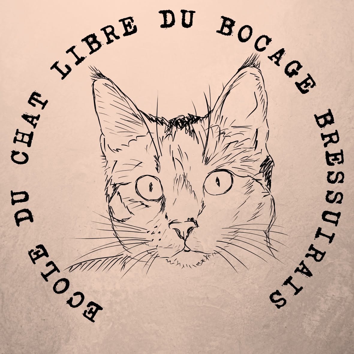 Dons pour l'ecole du chat libre du Bocage Bressuirais